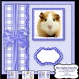 Blue Gingham Guinea Pig - 7 x 7 Card Topper With Decoupage