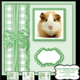 Green Gingham Guinea Pig - 7