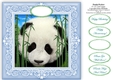Panda Perfect - 8 x 8 Card Topper