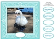 Swan Lake - 8 x 8 Card Topper