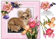 Cute Chihuahua Puppy Dog - 8 x 8 Floral Decoupage Card Topper