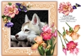 Husky Dog At Home (2) 8 x 8 Floral Decoupage Card Topper