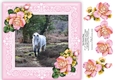 New Forest Pony 8 x 8 Floral Decoupage Card Topper