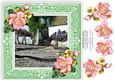Clovelly Donkeys In Devon - 8 x 8 Card Topper With Roses Decoupage