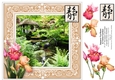 Japanese Gardens Tea House,Tatton Park 8 x 8 Card Topper & Iris Decoupage