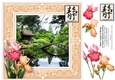 Shinto Temple & Bridge, Japanese Gardens, Tatton Park, Cheshire 8 x 8 Topper