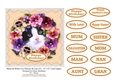 Black & White Cat, Pansies & Lace (3) - 6 x 6 Card Topper & Sentiments