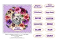 Tabby Cat, Pansies & Lace (2) - 6 x 6 Card Topper & Sentiments