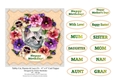 Tabby Cat, Pansies & Lace (3) - 6 x 6 Card Topper & Sentiments