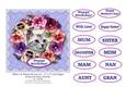 Tabby Cat, Pansies & Lace (5) - 6 x 6 Card Topper & Sentiments