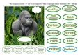 6 x 6 My Gorgeous Gorilla - Card Topper  & Greetings for Male Relatives