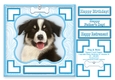 Dog & Bone (1) - 7.5 x 7.5 Card Topper With Greetings & Decoupage