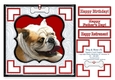 English Bulldog Dog & Bone (5) - 7.5 x 7.5 Card Topper With Greetings & Decoupage