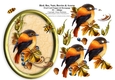 Bird, Bee, Nuts, Berries & Acorns - 7 x 5 Oval Decoupage Card Topper