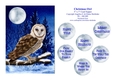 Christmas Barn Owl - 5 x 7 Card Topper With Assorted Greetings