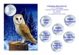 Christmas Barn Owl (2) - 5 x 7 Card Topper & Assorted Greetings