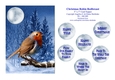 Christmas Robin Redbreast - 5 x 7 Card Topper & Assorted Greetings