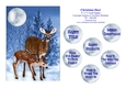 Christmas Deer - 5 x 7 Card Topper & Assorted Greetings - PU 300 DPI