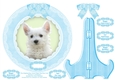 West Highland Terrier Boy Puppy Dog Plate Card, Plate Stand & Assorted Greetings