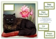 Iris The Black Cat - 8 x 8 Card Topper & Assorted Greetings Tags