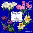 Spring Flowers Set Two- CU Designer Resource For Commercial Use Card Making Scrapbooking etc. - Full Size - PNG