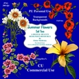 Summer Flowers Set Two - CU Designer Resource For Commercial Use, Personal Use Card Making Scrapbooking etc. - Full Size - PNG