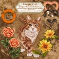 Ginger Cat - Designers Resource - CU PNG 300 DPI