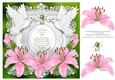 Emerald Wedding Anniversary 8 x 8 Floral Pink Lily Decoupage Topper