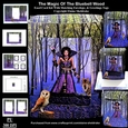The Magic Of The Bluebell Wood A Pagan 3D Pop Out Concertina Scenic Box Card Kit With Matching Envelope