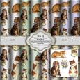 Victorian Cats Set Two 12 x 12  Backing Papers For Card Making Scrapbooking & Papercrafts
