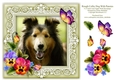 Rough Collie Dog Pansies Butterfly 8 x 8 Card Topper With Decoupage