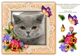British Blue Shorthair Cat Pansies Butterfly 8 x 8 Card Topper & Decoupage