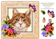 Ginger Tabby Cat Pansies Butterfly 8 x 8 Card Topper & Decoupage