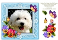 Bichon Frise Puppy Dog & Pansies 8 x 8 Card Topper With Decoupage