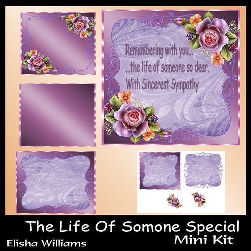 The Life Of Somone Special