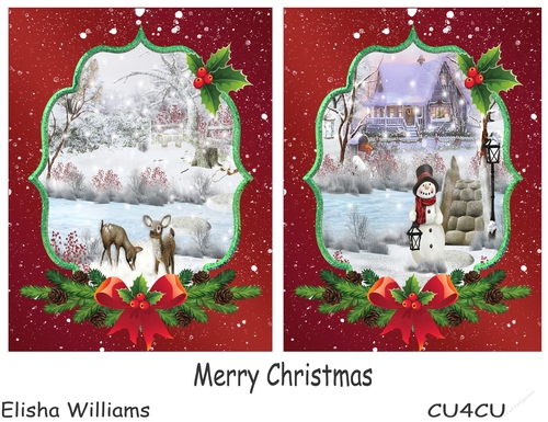Merry Christmas