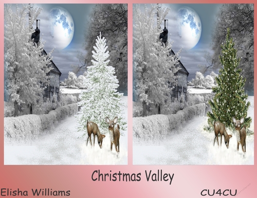 Christmas Valley