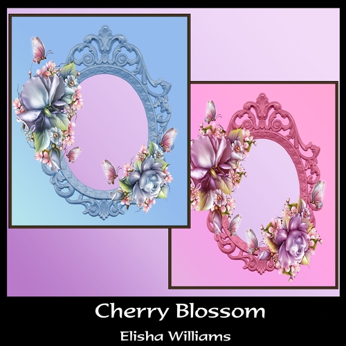Cherry Blossom