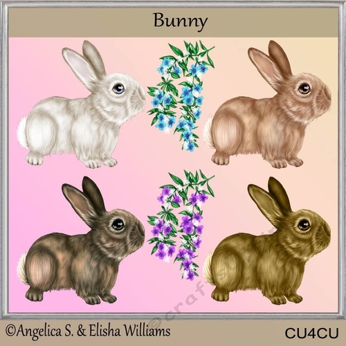 bunny