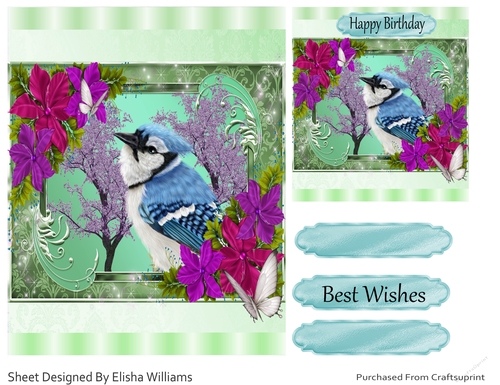 Happy Birthday Bird 2