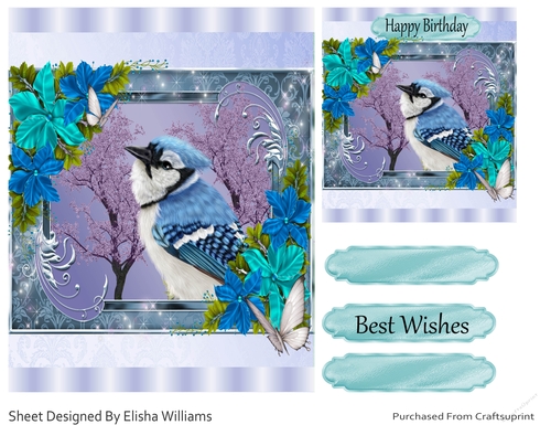 Happy Birthday Bird 3