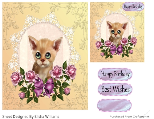 Happy Birthday Kitten