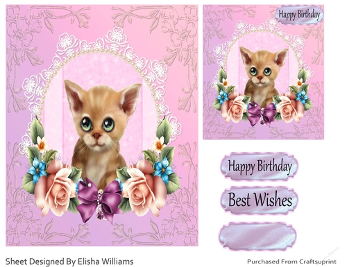 Happy Birthday Kitten 1