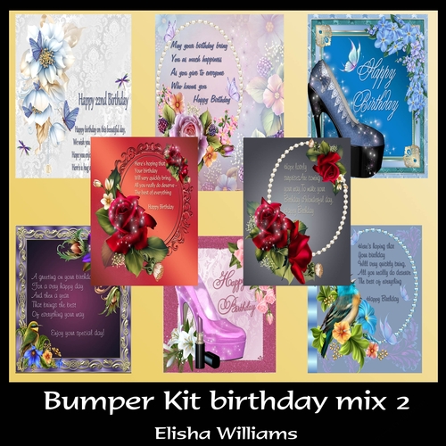 Bumper Kit birthday mix 2