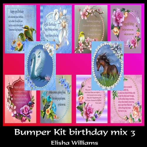 Bumper Kit birthday mix 3