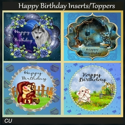 Happy Birthday inserts/toppers
