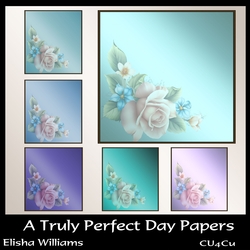 A Truly Perfect Day Papers