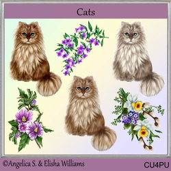 cats