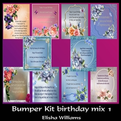 Bumper Kit birthday mix 1