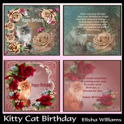 Kitty Cat Birthday